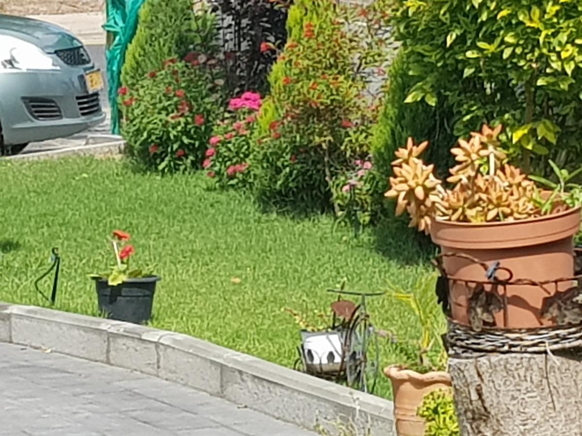 A Pastoral B & B Giv'at Ada 外观 照片
